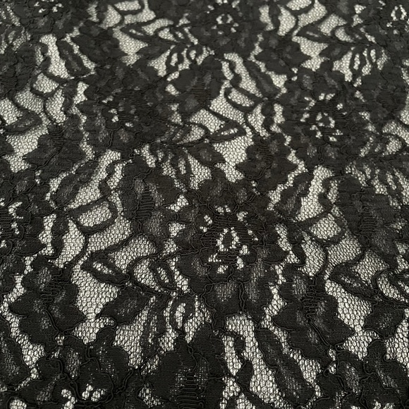 The Limited Lace Skirt - Picture 3 of 10